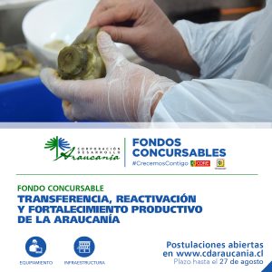 Lee más sobre el artículo Corporación de Desarrollo Araucanía lanza formalmente sus Fondos Concursables por la reactivación y el fortalecimiento productivo de la región.