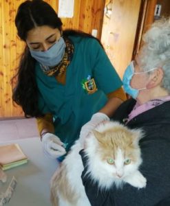 Lee más sobre el artículo Continúa exitoso operativo de esterilización en tiempos de Covid-19.