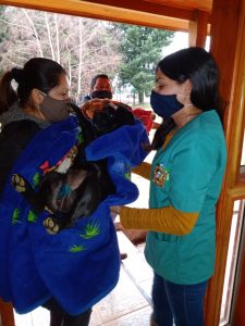 Lee más sobre el artículo Exitoso Operativo de Esterilización de Mascotas realizó el municipio a través del Programa Municipal de Tenencia Responsable de Mascotas .