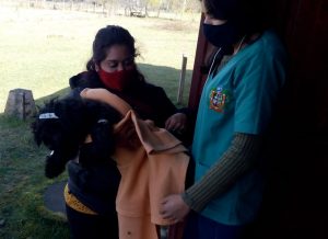 Lee más sobre el artículo DIDEL EN TERRENO.