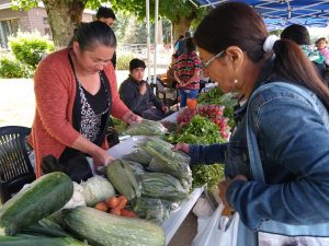 Lee más sobre el artículo Con todas las medidas de seguridad, vuelve feria campesina Didel.