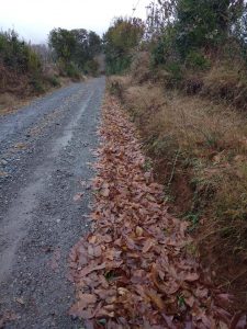 Lee más sobre el artículo Unidad de Caminos trabajando en terreno.