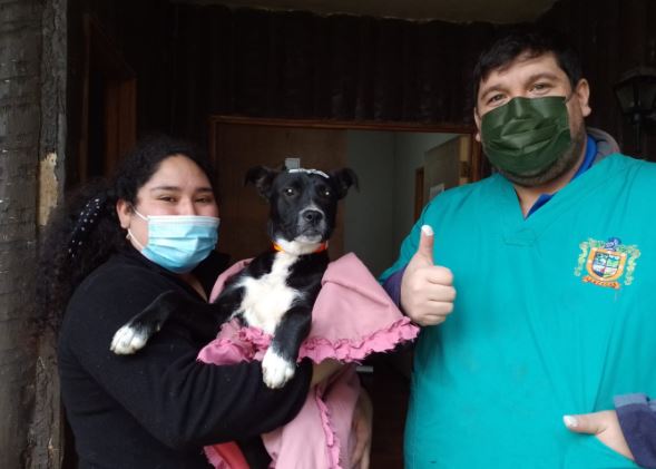 Lee más sobre el artículo CONTINÚA CAMPAÑA DE ESTERILIZACIÓN DE MASCOTAS.