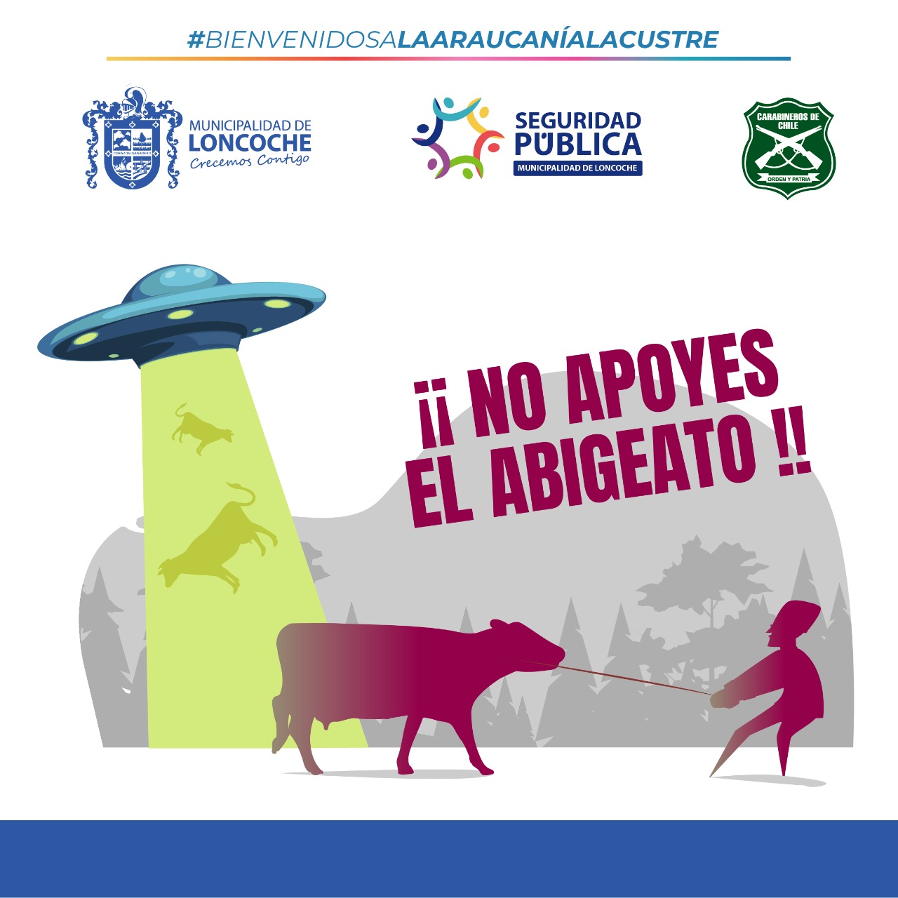 En este momento estás viendo ⚠️ ¡¡NO APOYES EL ABIGEATO!!