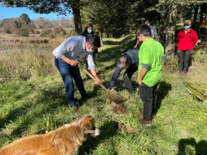 Lee más sobre el artículo ALCALDE ALEXIS PINEDA RUIZ, PARTICIPA DE JORNADA EN RECUPERACIÓN DEL HUMEDAL «LAGUNA HUISCAPI».