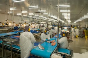 Lee más sobre el artículo OFERTA LABORAL DE OMIL.