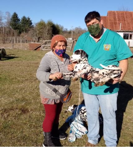 En este momento estás viendo EQUIPO TENENCIA RESPONSABLE DE DIDEL REALIZA JORNADA DE ESTERILIZACIÓN.