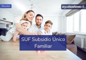 Lee más sobre el artículo 👉SUBSIDIO ÚNICO FAMILIAR.