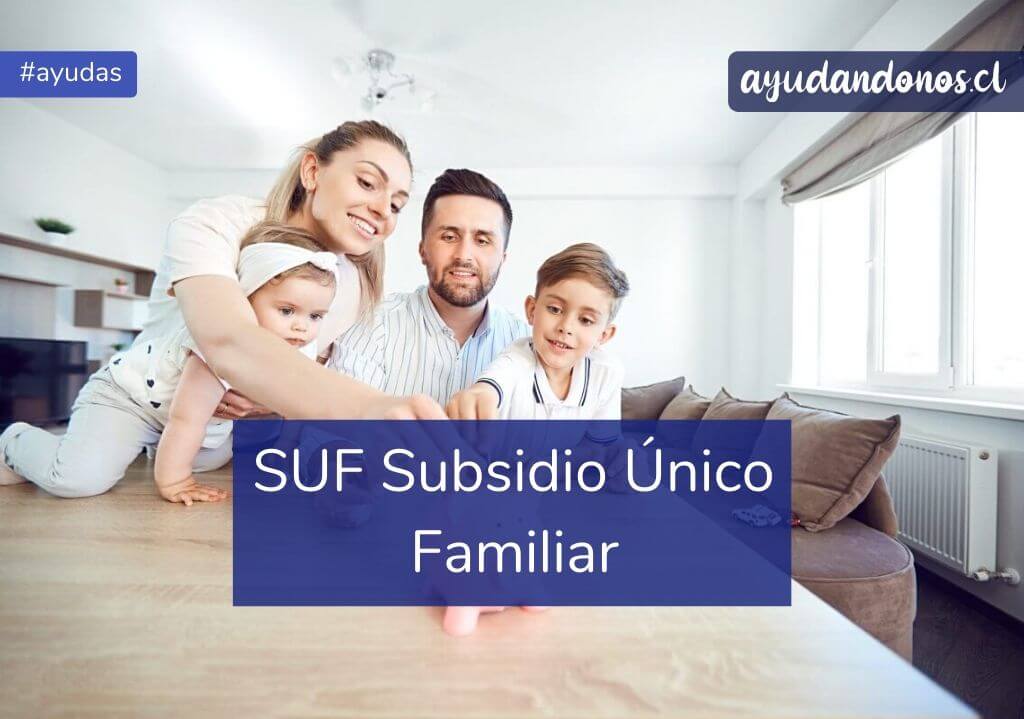 En este momento estás viendo 👉SUBSIDIO ÚNICO FAMILIAR.