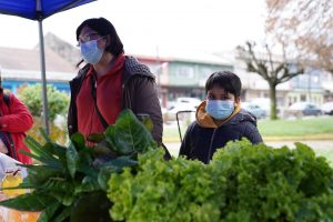 Lee más sobre el artículo DIRECCIONES DE DESARROLLO COMUNITARIO Y ECONÓMICO LOCAL REALIZAN EXITOSA FERIA EN PLAZA DE LONCOCHE.