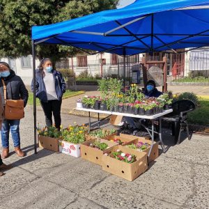 Lee más sobre el artículo FERIA DIDEL EN PLAZA DEL CENTRO.