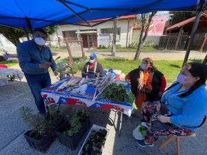 Lee más sobre el artículo ALCALDE ALEXIS PINEDA RUIZ VISITA FERIA DE EMPRENDEDORES EN EL CENTRO DE LA CIUDAD.
