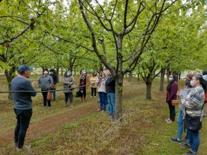 Lee más sobre el artículo AGRICULTORES DE LONCOCHE SE CAPACITARON EN TERRENO CON UNIVERSIDAD DE LA FRONTERA.