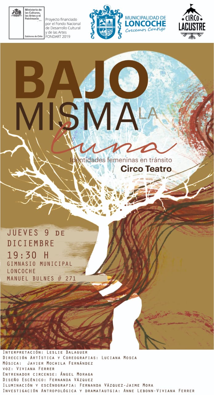 En este momento estás viendo CIRCO TEATRO EN LONCOCHE!!!