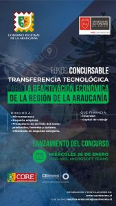 Lee más sobre el artículo FONDO CONCURSABLE TRANSFERENCIA TECNOLÓGICA PARA LA REACTIVACIÓN ECONÓMICA DE LA ARAUCANÍA.