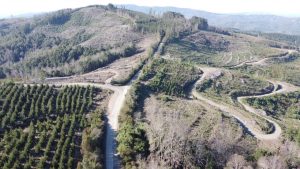 Lee más sobre el artículo ARREGLO DE 19 KILÓMETROS DE LA CUESTA LASTARRIA INVOLUCRA UNA INVERSIÓN PÚBLICA DE $4.500 MILLONES DE PESOS.