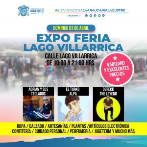 Lee más sobre el artículo INVITAN A PARTICIPAR DE FERIA LIBRE EN CALLE LAGO VILLARRICA.