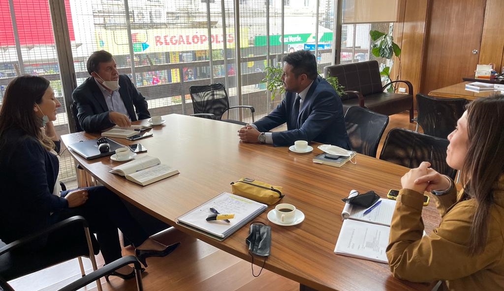 En este momento estás viendo ALCALDE SE REÚNE CON SEREMI DE BIENES NACIONALES.