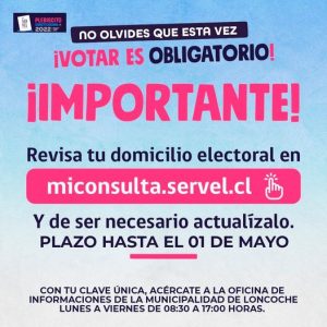 Lee más sobre el artículo ¡VOTAR ES OBLIGATORIO!