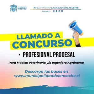 Lee más sobre el artículo LLAMADO A CONCURSO.