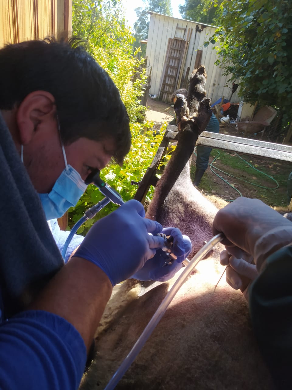 En este momento estás viendo LONCOCHE A LA VANGUARDIA DEL DESARROLLO TECNOLÓGICO PARA LOS AGRICULTORES.
