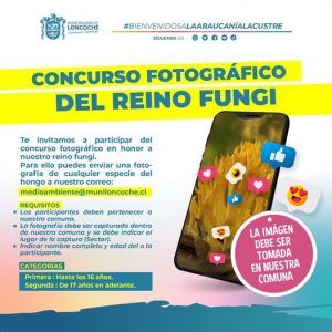 Lee más sobre el artículo CONCURSO FOTOGRÁFICO REINO FUNGI.