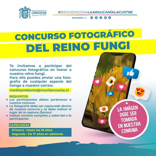 Lee más sobre el artículo CONCURSO FOTOGRÁFICO REINO FUNGI.