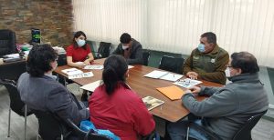 Lee más sobre el artículo AGRUPACIÓN DOWN LONCOCHE EXPONE PROYECTO DE EQUINOTERAPIA.