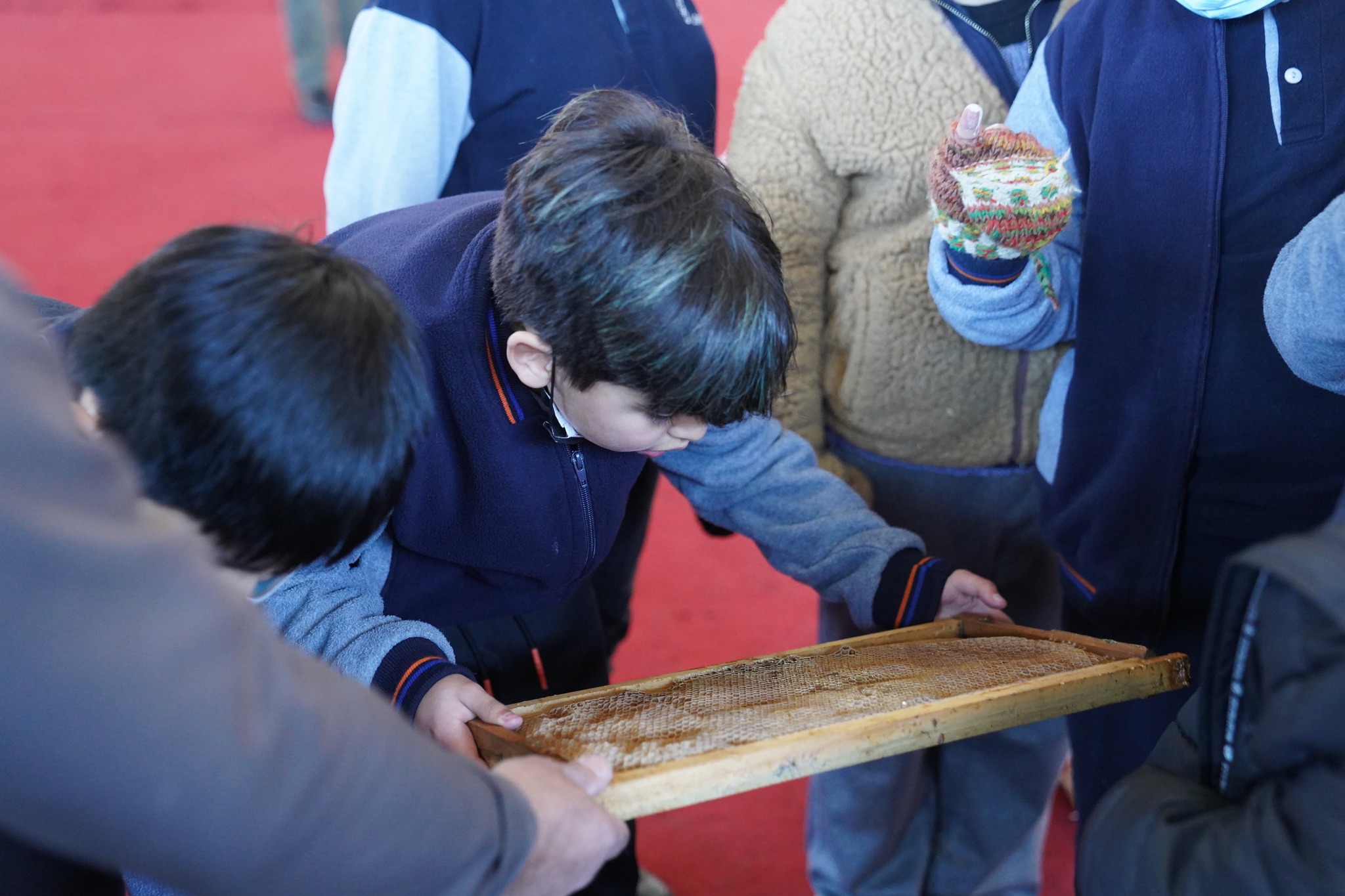 En este momento estás viendo ENCUENTRO DE SABERES, ARTES Y OFICIOS SE REALIZÓ EN LA COMUNA DE LONCOCHE.