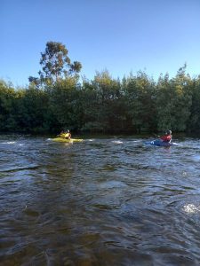 Lee más sobre el artículo INICIAN TALLERES DE KAYAK EN LONCOCHE.