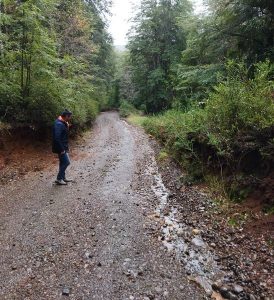 Lee más sobre el artículo ALCALDE REALIZA VISITA A SECTOR RURAL DE PANCO.