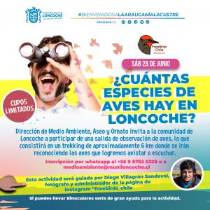Lee más sobre el artículo INTRODUCCIÓN A LA OBSERVACIÓN DE AVES EN LONCOCHE.