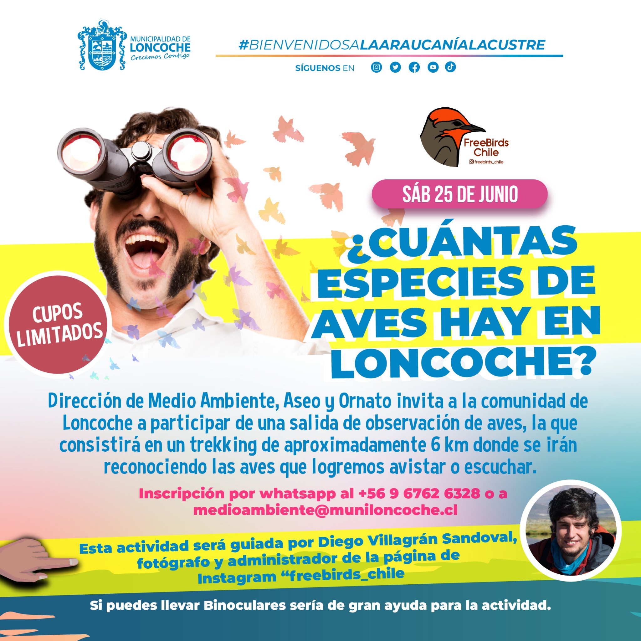 En este momento estás viendo INTRODUCCIÓN A LA OBSERVACIÓN DE AVES EN LONCOCHE.