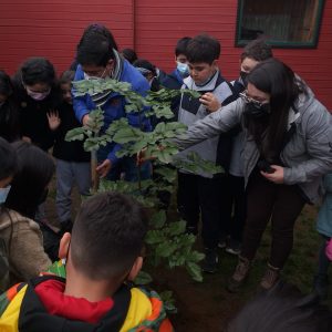 Lee más sobre el artículo CELEBRACIÓN DÍA INTERNACIONAL DEL MEDIO AMBIENTE.