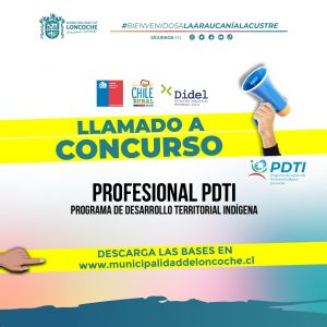 Lee más sobre el artículo BASES LLAMADO A CONCURSO PROFESIONAL PDTI.