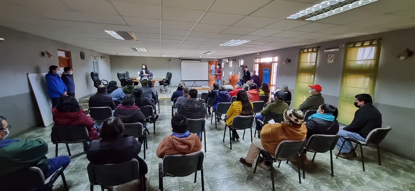 Lee más sobre el artículo REALIZAN SEGUNDA JORNADA APÍCOLA EN LONCOCHE.