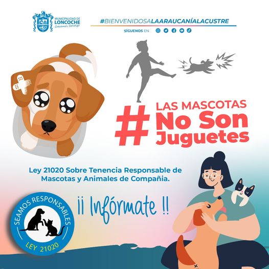 Lee más sobre el artículo ¡LAS MASCOTAS NO SON JUGUETES!