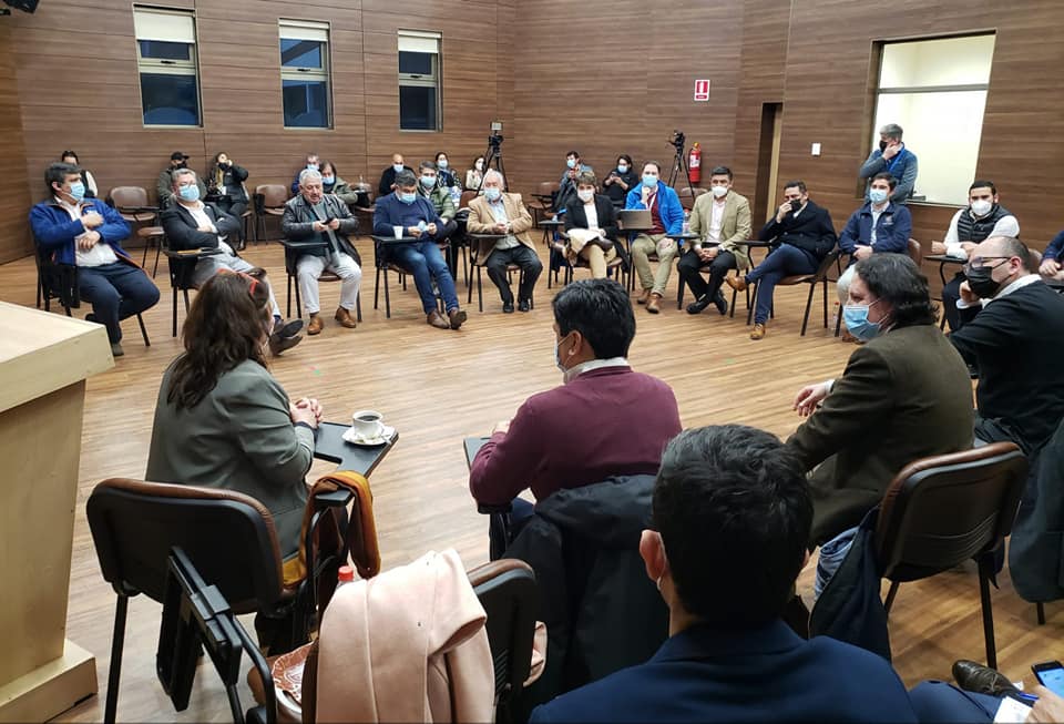 En este momento estás viendo MINISTRA DE SALUD SE REÚNE CON ALCALDES DE LA ARAUCANIA.