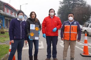 Lee más sobre el artículo LONCOCHE ES LA PRIMERA COMUNA DE LA ARAUCANÍA EN MARCAR PASOS PEATONALES Y DE MASCOTAS.