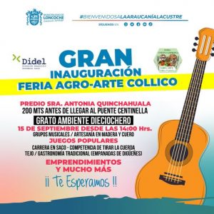 Lee más sobre el artículo INAUGURACIÓN FERIA AGRO-ARTE COLLICO.