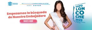 Lee más sobre el artículo BASES EMBAJADORA EXPO LONCOCHE 2023.