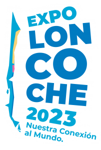 Lee más sobre el artículo NÓMINA OFICIAL DE SELECCIONADOS EXPO LONCOCHE 2023.