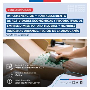 Lee más sobre el artículo Bases Fondo Concursable CONADI.