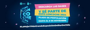 Lee más sobre el artículo BASES EXPO LONCOCHE 2024