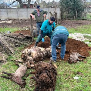 Lee más sobre el artículo ATENCIÓN PRODUCTORES Y COMUNIDADES RURALES