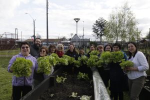 Lee más sobre el artículo Primera cosecha comunitaria en el Huerto Participativo del Programa Quiero Mi Barrio.