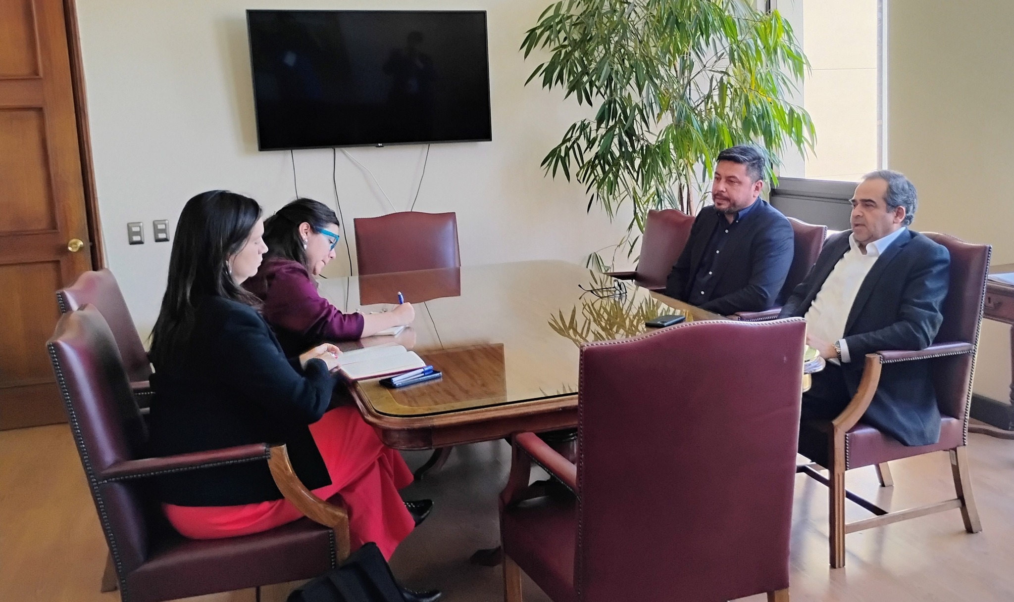 Lee más sobre el artículo Ministra de Agricultura compromete respaldo para Expo Loncoche 2026, el mayor evento del sur de Chile