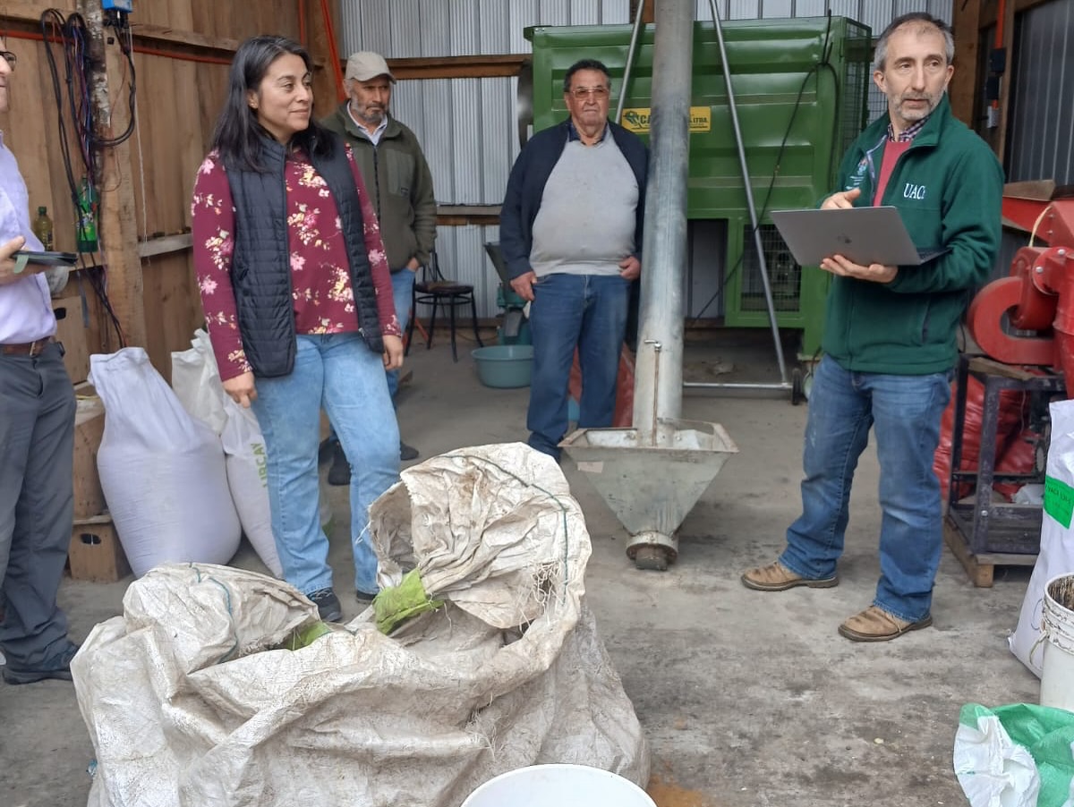 Lee más sobre el artículo AGROL y la Universidad Austral de Chile impulsan la nutrición ovina en Loncoche: capacitación, innovación y desarrollo rural