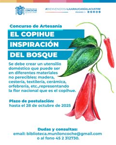 Lee más sobre el artículo CONCURSO DE ARTESANÍA “El Copihue, inspiración del bosque”