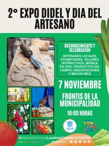 Lee más sobre el artículo ¡Loncoche vibra con la Expo DIDEL 2025!